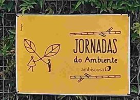 Dia do Ambiente 2024
