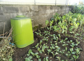 Compostagem doméstica em Penafiel