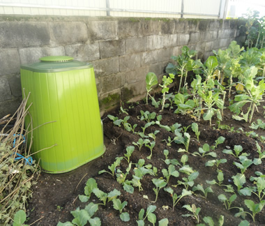 Compostagem doméstica em Penafiel