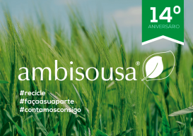 14º Aniversário da Ambisousa